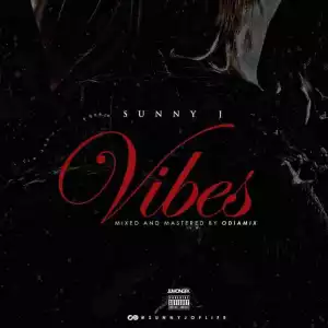 Sunny J - Vibes (Freestyle)